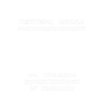 logo_plyta_torun_